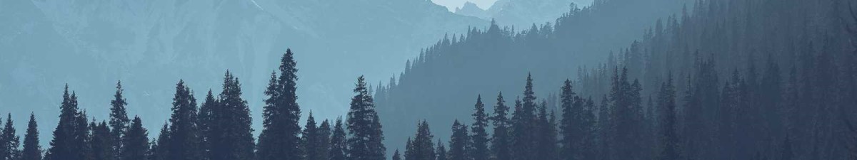 Documentation Design with MadCap&nbsp;Flare